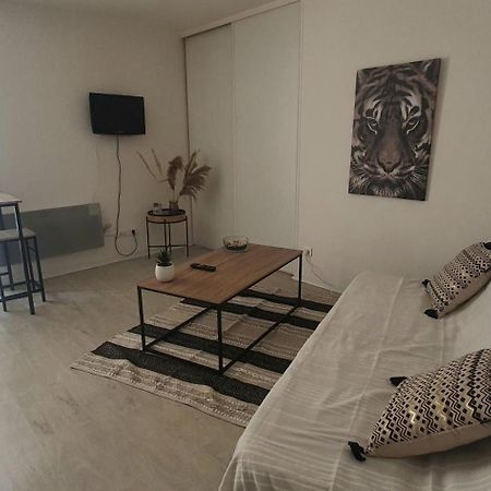 Studio Cosy Au Coeur De Millau Luaran gambar